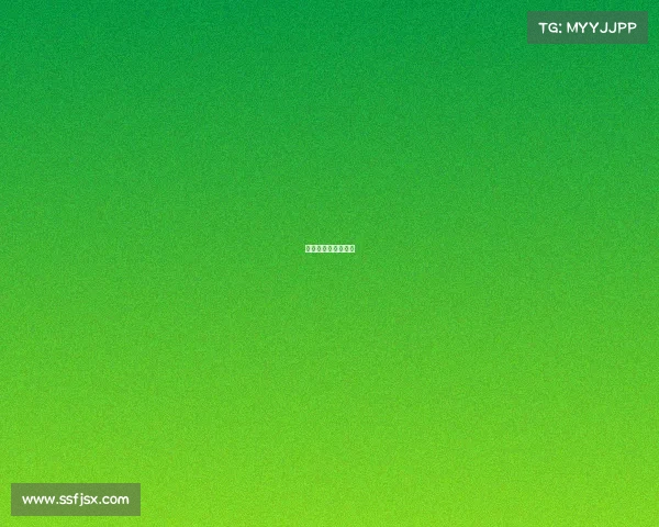 赛事级别是什么意思