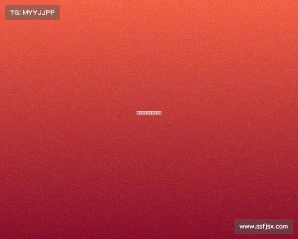 德国足球各项赛事时间